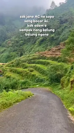 musim dingin