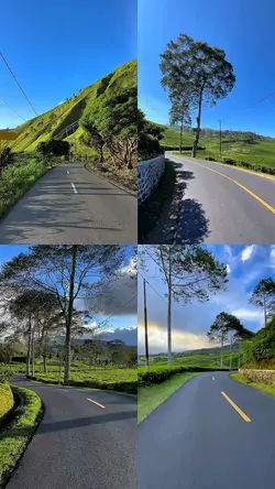 4 video 1 layout
