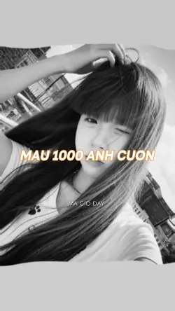 Mẫu 1000 Ảnh