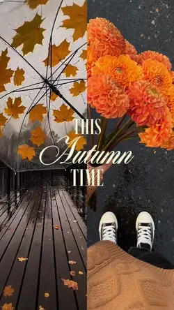 Autumn time