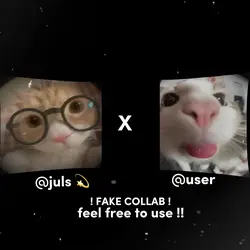FAKE COLLAB