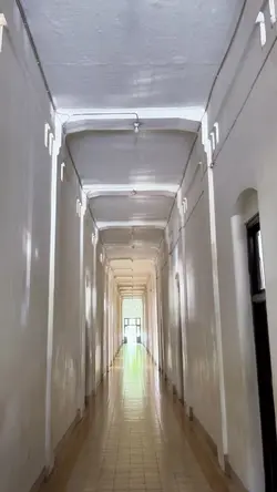 Mini Vlog