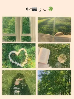Green
6 pic