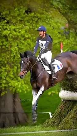 cross country 