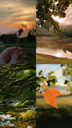 Nature vibes