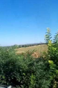 duyuruu