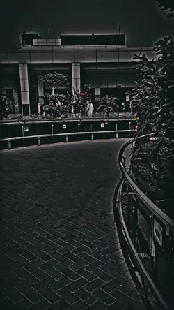 BEST BLACK FILTER 