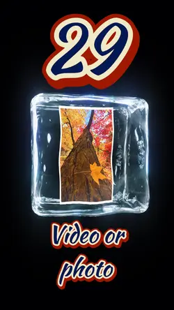 29 video or picture 