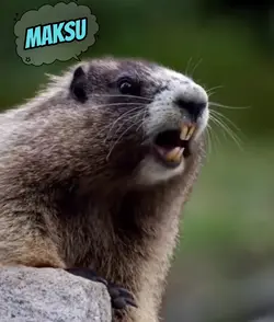 TUPAI PANGGIL NAMA 
