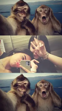 Amigas 🤍