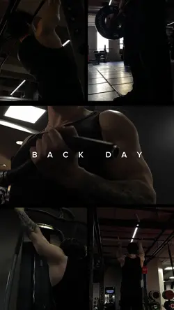 training day - back