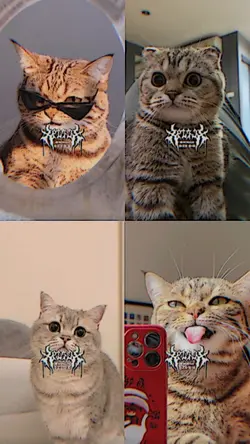 บาร์ซิล 4ช่อง