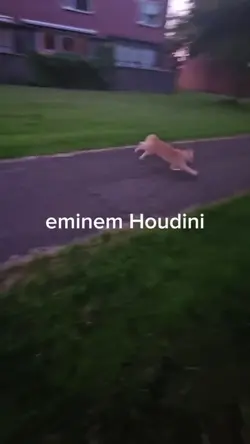 HOUDINI
