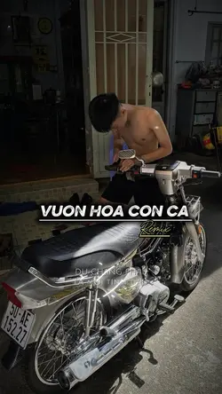 Nhạc cute