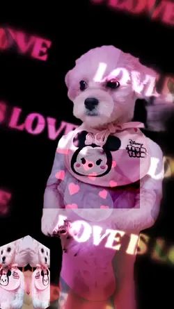 AI Pet Dance Show