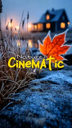 Cinematic 5 video