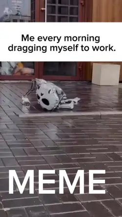 Back to work