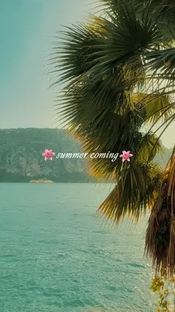 Summer 
