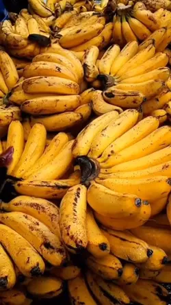 pisang 