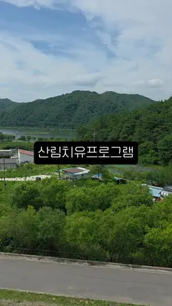 치유의숲