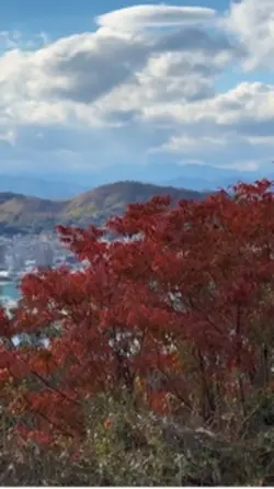 Autumn