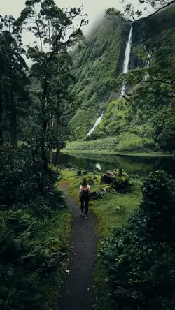 Nature vibes