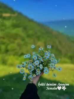 Annem