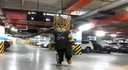 xatcat3