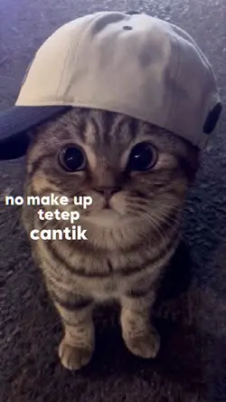 NO MAKEUP TETAP 