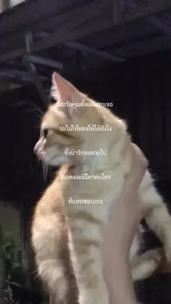 ผมรักคุณตั้งแต่แรกเจ