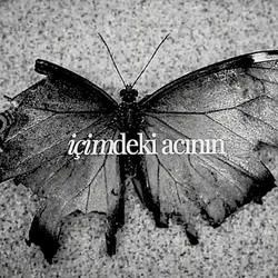 dyglrımınkatilisnsin