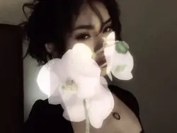 Flower aesthetic