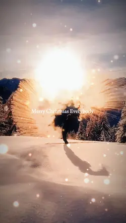 Merry Christmas❤️