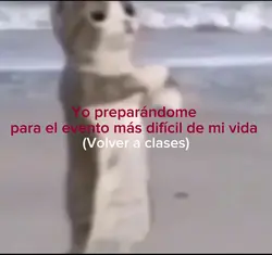Yo