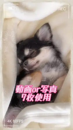 誰も知らない君を見せて