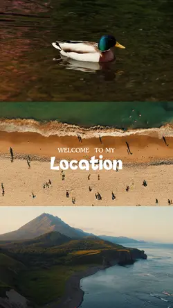 paradise