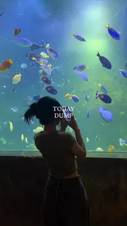 TODAY DUMP