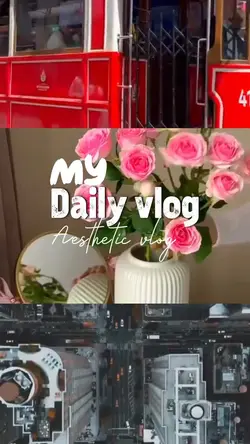 My daily vlog