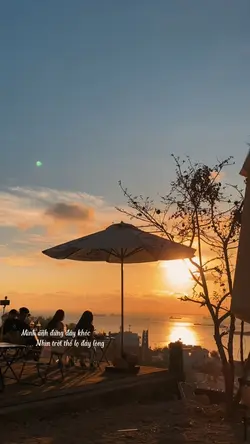 Cá bơi ngược dòng