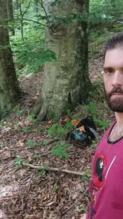 Chanterelle season 