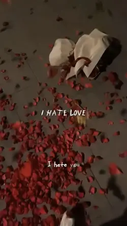I HATE LOVE 💔