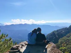 ily