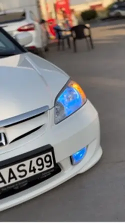 80AAS499