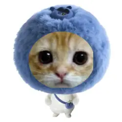 blueberry 🫐