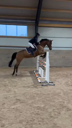 Equestrian