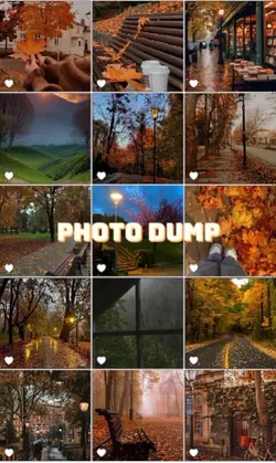 photo dump