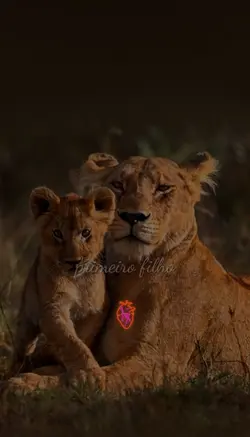 primeiro filho 