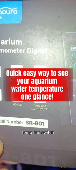 seaoura aquarium 