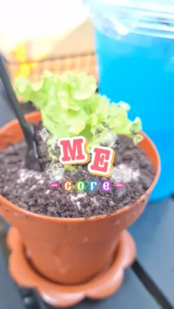 Me core.