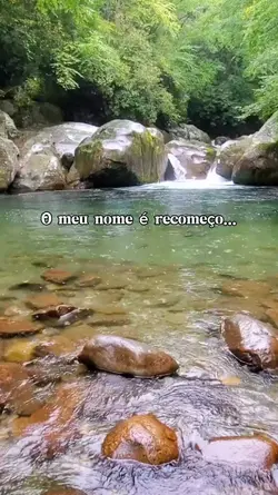 Recomeço